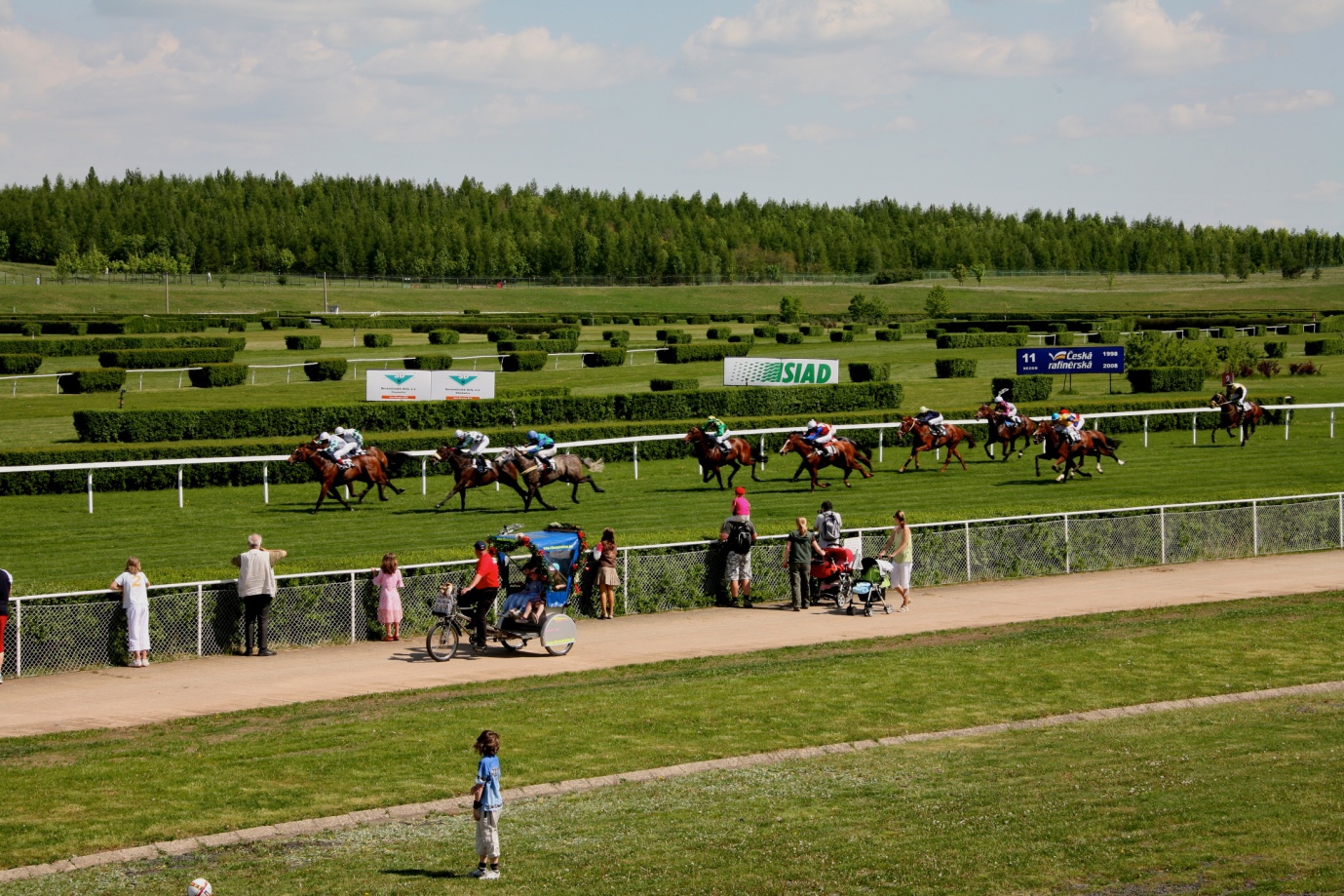 Most hippodrome